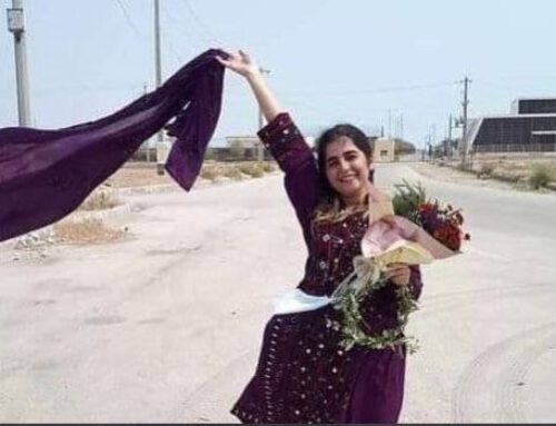 Solidaridad feminista transnacional con el levantamiento de Mujeres*, Vida, Libertad en Irán
