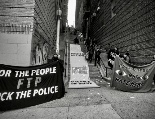 “El tejido internacionalista es el que nos permite a la diáspora que vivimos dentro del imperio, pegarle dos o tres golpes al poder.” Entrevista con Shellyne Rodríguez (1a parte)